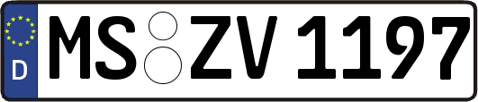 MS-ZV1197