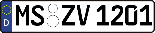 MS-ZV1201