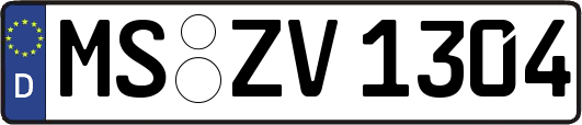 MS-ZV1304