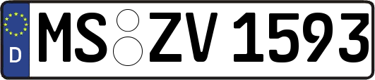 MS-ZV1593