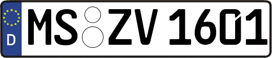 MS-ZV1601