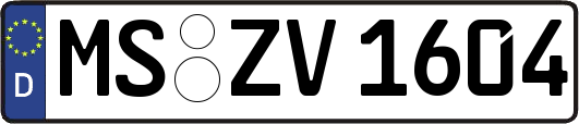 MS-ZV1604