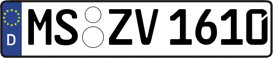 MS-ZV1610