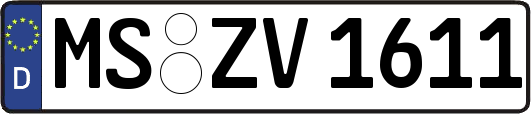MS-ZV1611