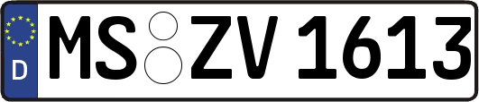 MS-ZV1613