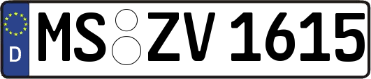 MS-ZV1615