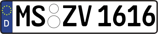 MS-ZV1616