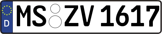 MS-ZV1617