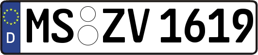 MS-ZV1619