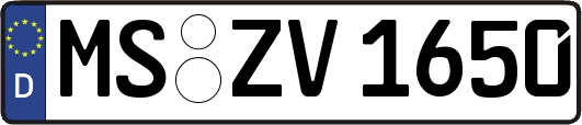 MS-ZV1650