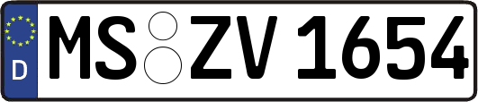MS-ZV1654