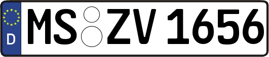 MS-ZV1656