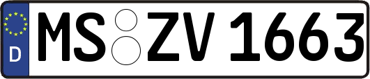 MS-ZV1663
