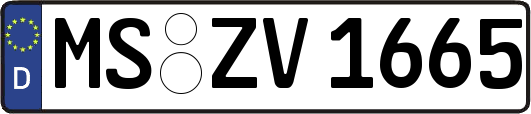 MS-ZV1665
