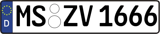 MS-ZV1666