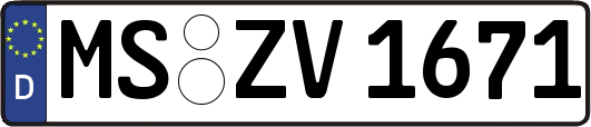 MS-ZV1671