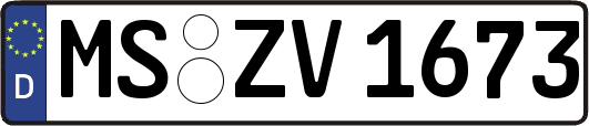 MS-ZV1673