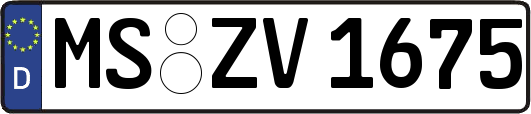MS-ZV1675