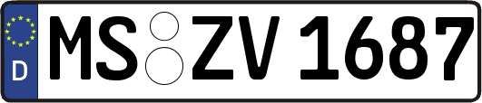 MS-ZV1687