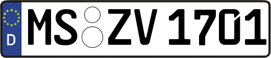 MS-ZV1701