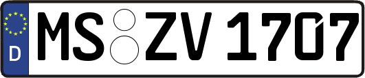 MS-ZV1707