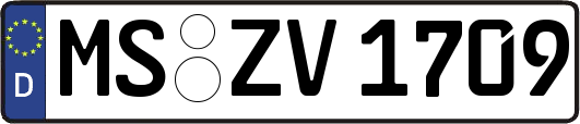 MS-ZV1709