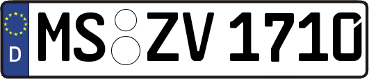 MS-ZV1710