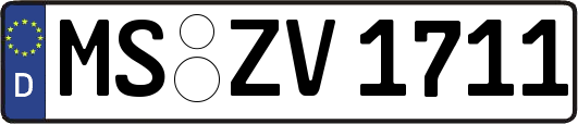 MS-ZV1711