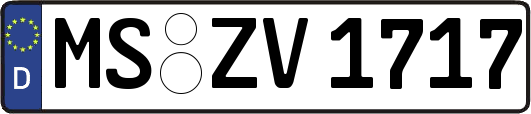 MS-ZV1717