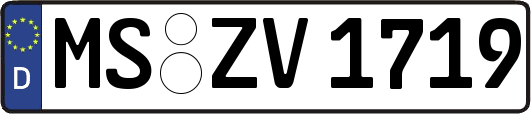 MS-ZV1719