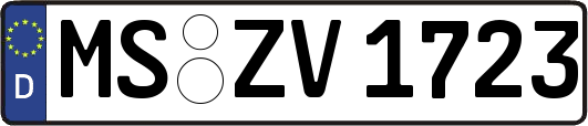 MS-ZV1723
