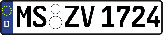 MS-ZV1724