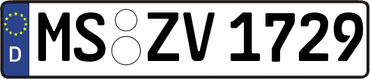 MS-ZV1729