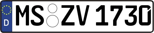 MS-ZV1730