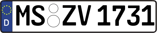 MS-ZV1731