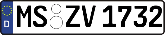 MS-ZV1732