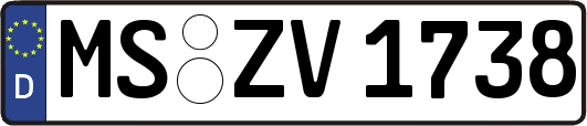 MS-ZV1738