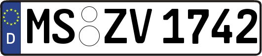 MS-ZV1742