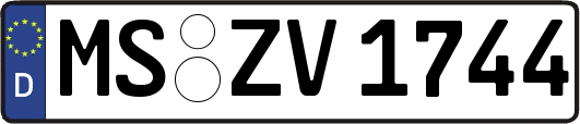 MS-ZV1744
