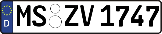 MS-ZV1747