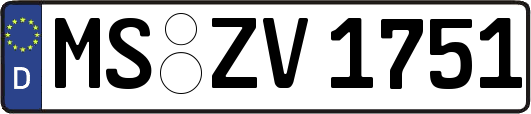 MS-ZV1751