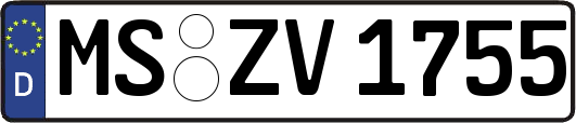 MS-ZV1755