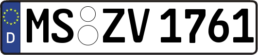MS-ZV1761