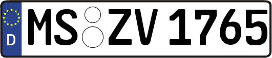 MS-ZV1765