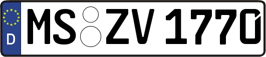 MS-ZV1770