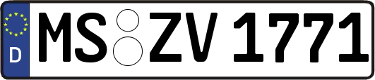 MS-ZV1771