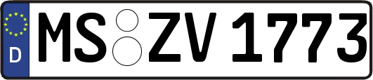 MS-ZV1773