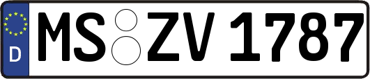 MS-ZV1787