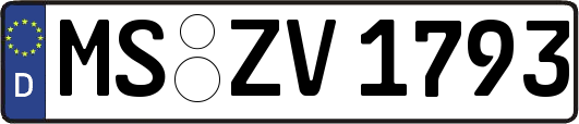 MS-ZV1793