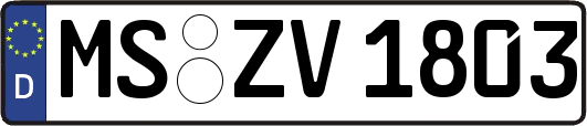 MS-ZV1803